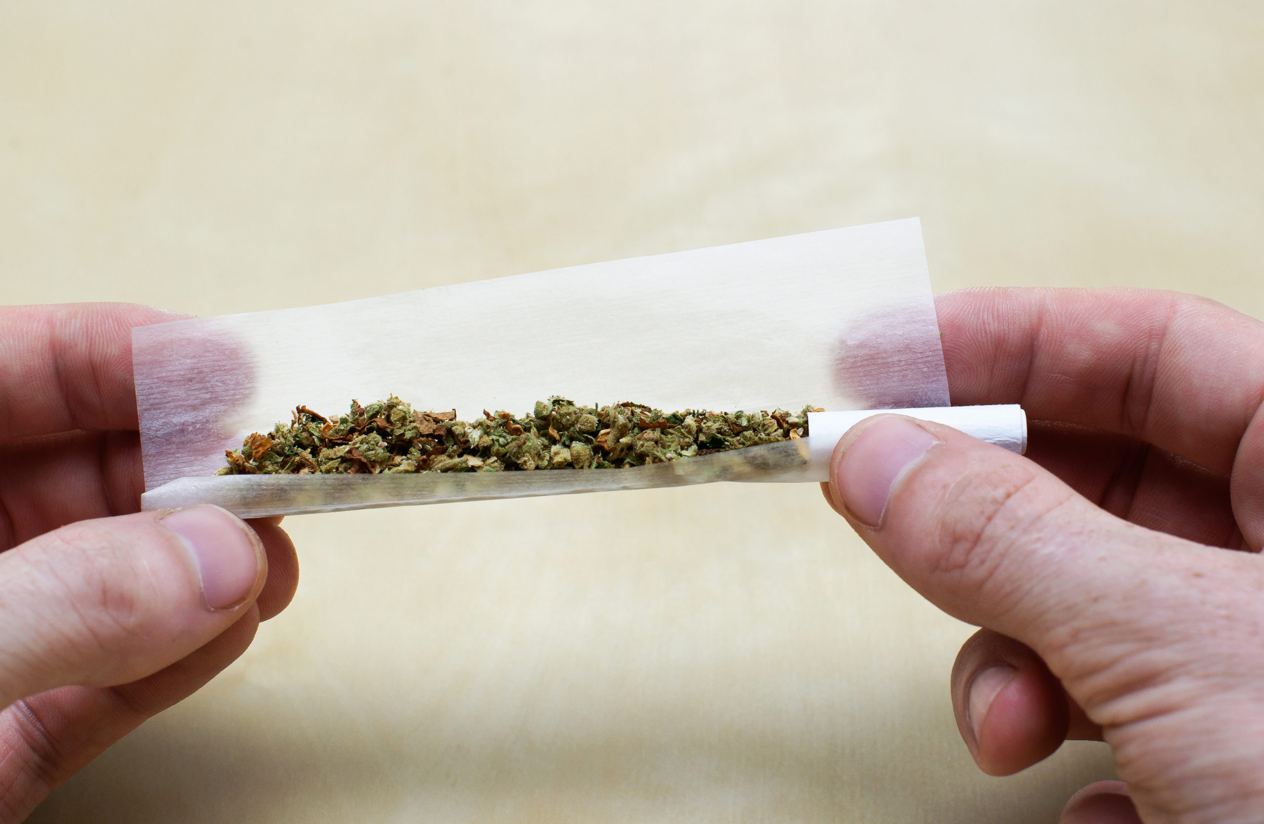 Joint Roller Tips and Tricks You Need To Know - Strain Cannabis Dispensary