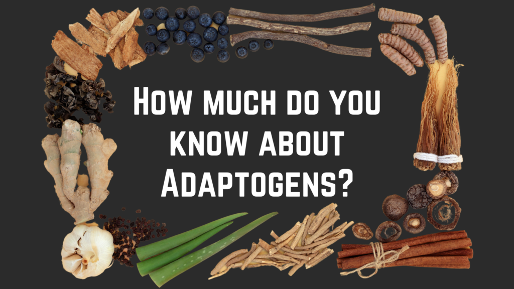Adaptogens Quiz | Pop Quiz: Which BITS Edible is Right for Me?