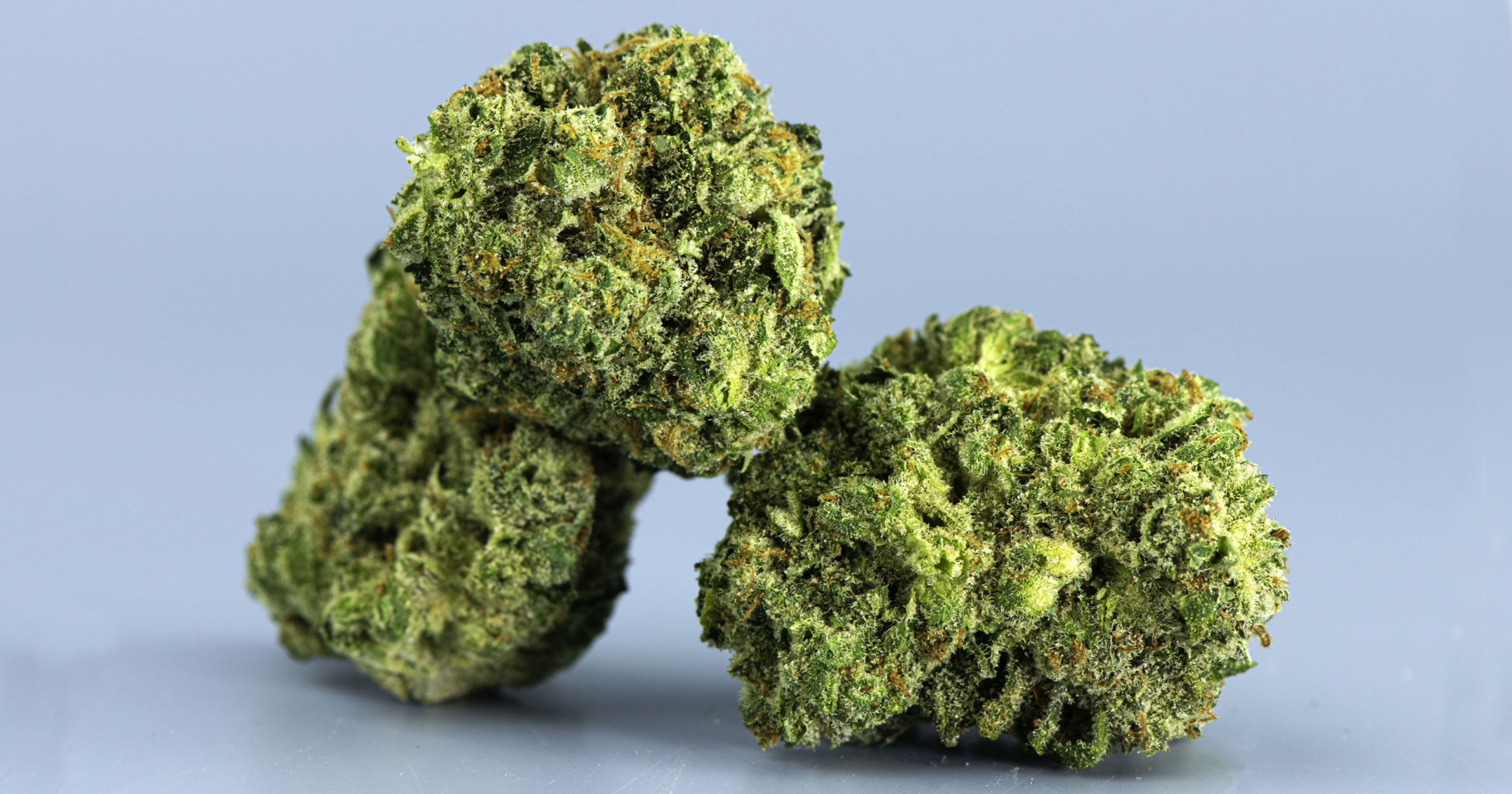 What Are Trichomes and What Do They Do?