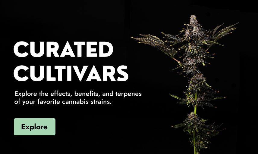 Medical & Recreational Cannabis Dispensaries