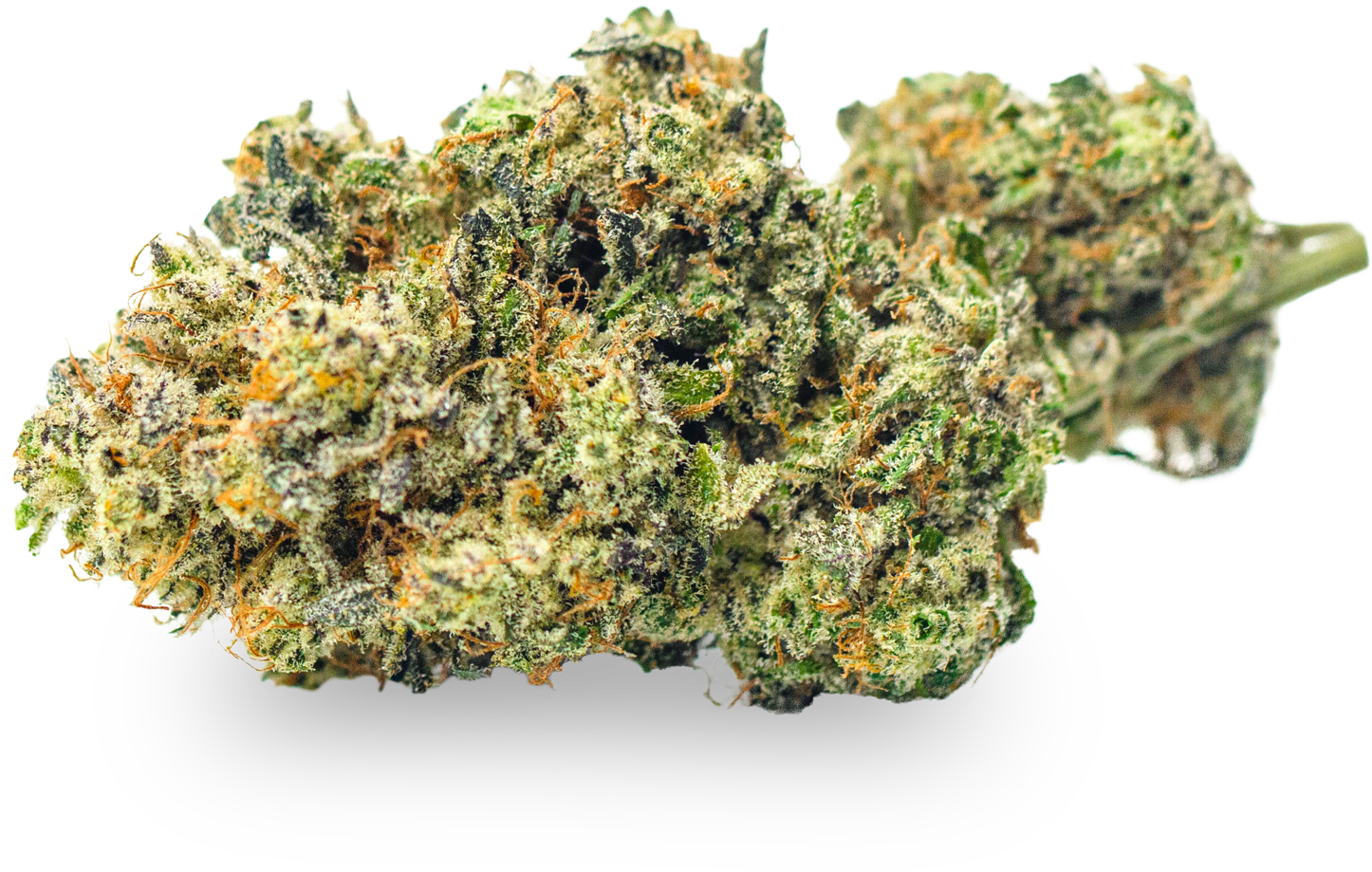 Sweet Apple Crumble Pie Zen Leaf Dispensaries