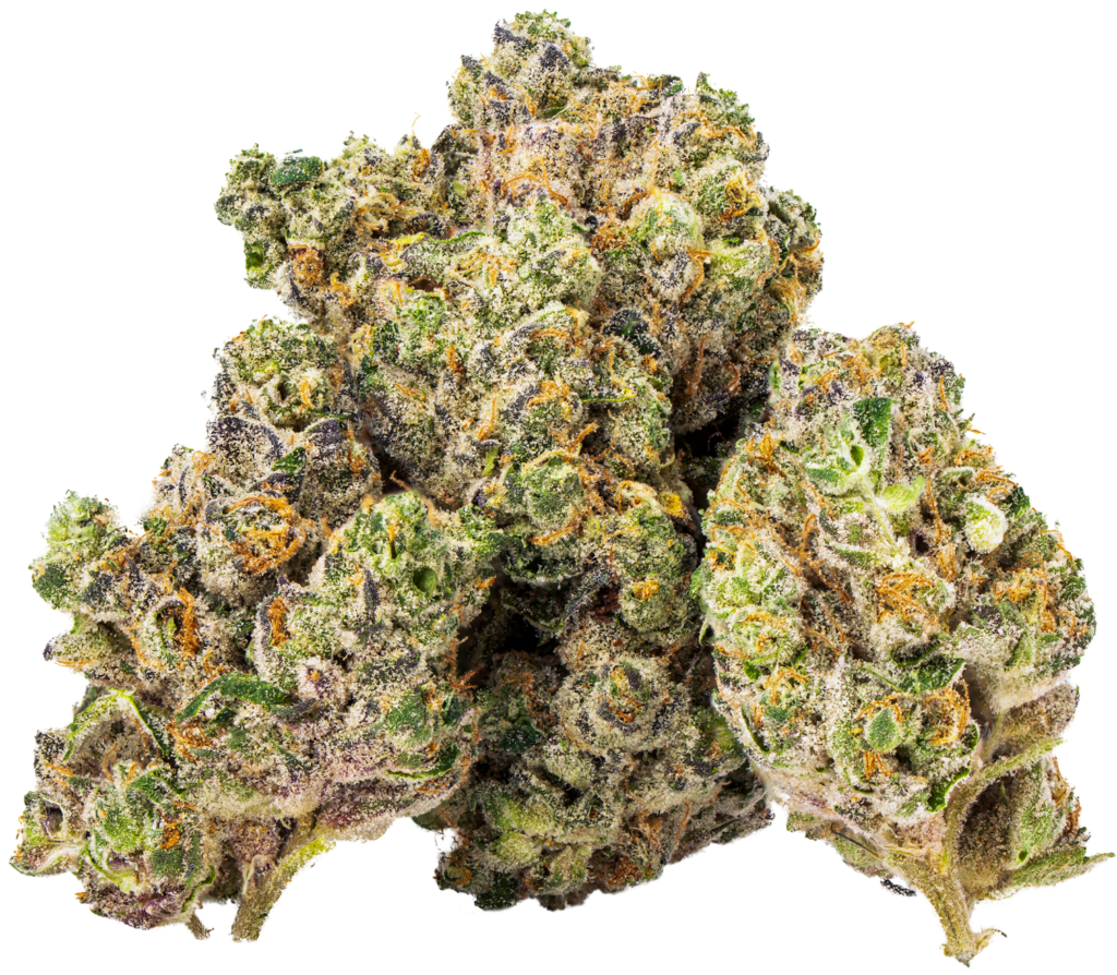 Cherry Malt Zen Leaf Dispensaries