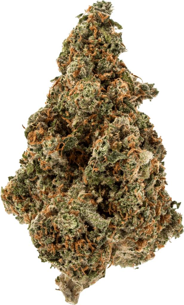 Bussin Zen Leaf Dispensaries