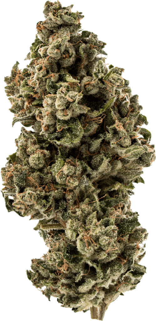 sunder beach black nubuck