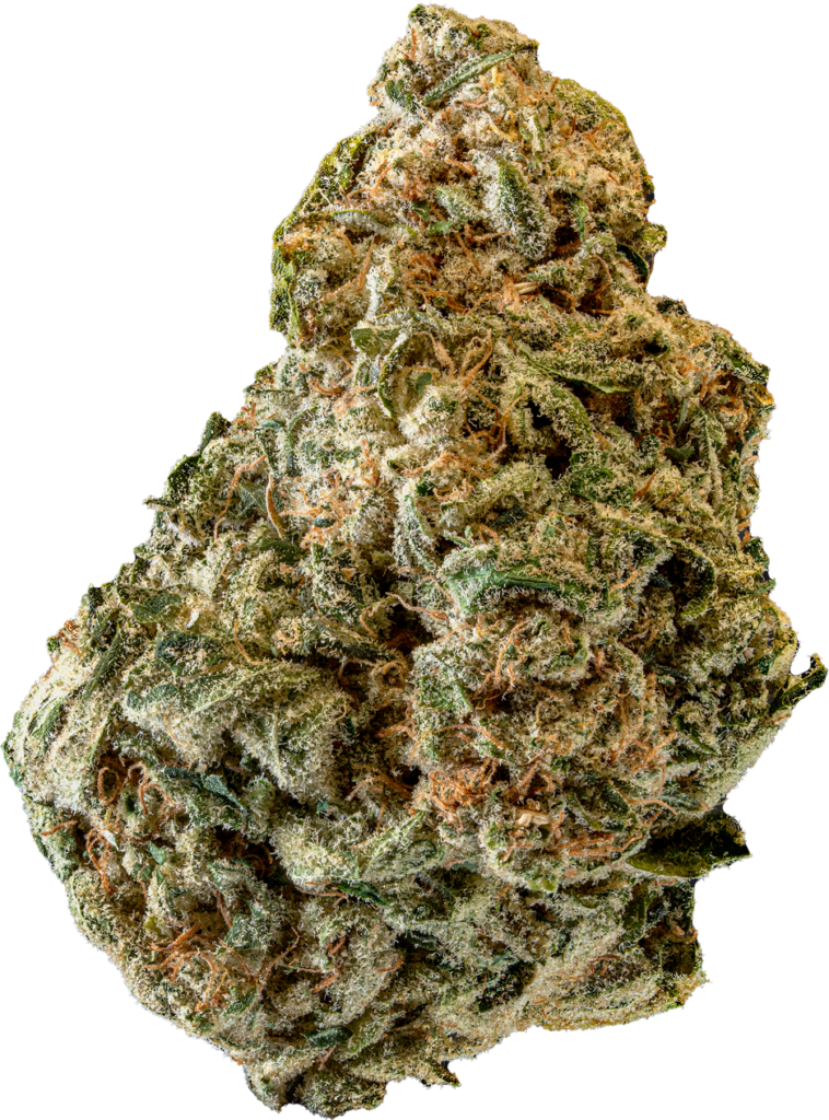 Lemon Sorbet Zen Leaf Dispensaries