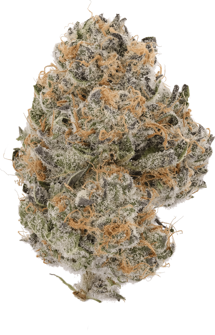 Pancake Stomper Zen Leaf Dispensaries